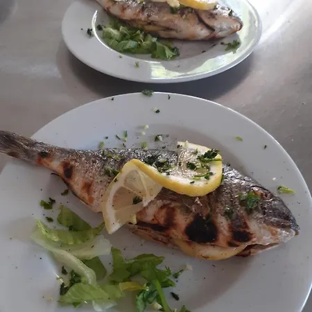 Rodian 호텔 아쿠아페사